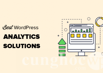 11 giải pháp phân tích website tốt nhất cho người dùng WordPress