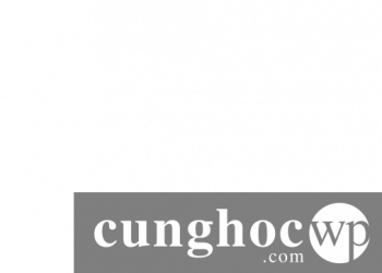 12 Code Editor tốt nhất cho Mac và Windows để sử dụng với WordPress