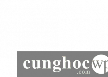 12 plugin WordPress tốt nhất để nhận quyên góp và gây quỹ năm 2020