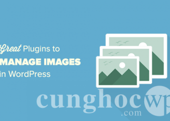 22 Plugin WordPress tuyệt vời để quản lý hình ảnh năm 2020