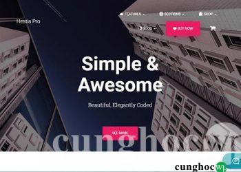 Top 26 theme WordPress thân thiện nhất với Gutenberg (2020)