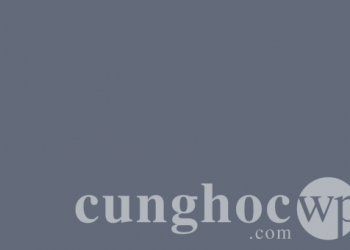 29 WordPress Themes tốt nhất dành cho tác giả