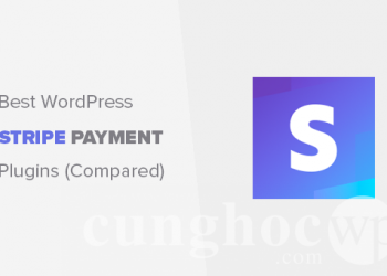 6 Plugin tốt nhất khi dùng cổng thanh toán Stripe trên WordPress (2020)