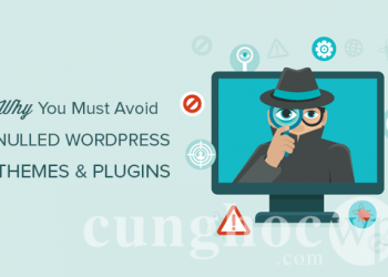 9 lý do vì sao bạn không nên dùng Themes & Plugins WordPress lậu