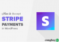 Stripe