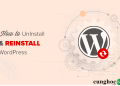huong-dan-go-ra-va-cai-dat-lai-wordpress