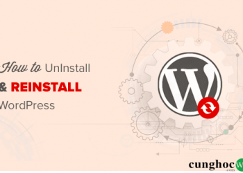 huong-dan-go-ra-va-cai-dat-lai-wordpress