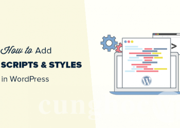Thêm JavaScripts và Styles trong WordPress như thế nào cho đúng cách?