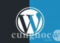 Ai là chủ sở hữu WordPress và WordPress kiếm tiền như thế nào?