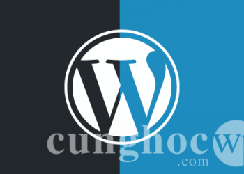 Ai là chủ sở hữu WordPress và WordPress kiếm tiền  như thế nào?