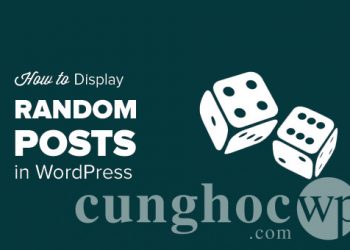 Cách hiển thị bài đăng ngẫu nhiên trên WordPress