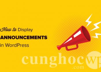 Cách hiện thị thông báo trên blog WordPress của bạn