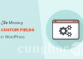 Cách khắc phục Custom Fields không hiển thị trong WordPress