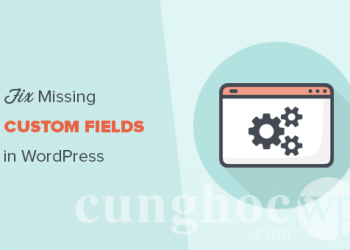 Cách khắc phục Custom Fields không hiển thị trong WordPress