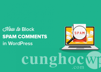 Cách sử dụng Antispam Bee để chặn spam bình luận trong WordPress