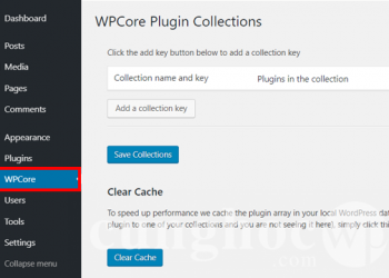 Cách tải và cài đặt một lúc nhiều plugins trong WordPress.