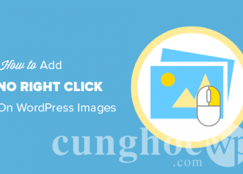 Hướng dẫn cách chống click chuột phải trên ảnh trong WordPress