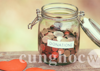 Cách thêm nút donate PayPal trong WordPress