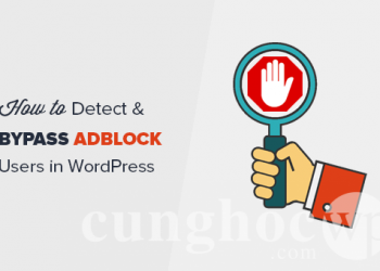 Cách phát hiện người dùng chặn quảng cáo trên WordPress