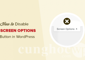 Hướng dẫn vô hiệu hoá nút Screen Options trong WordPress