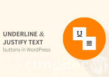 Hướng dẫn cách thêm nút gạch chân và căn lề 2 bên bài viết trên WordPress