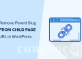 Hướng dẫn cách xóa Slug trang mẹ khỏi URL trang con  trong WordPress