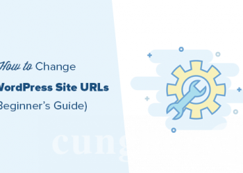 Hướng dẫn chi tiết thay đổi URL trang web trong WordPress