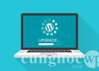 Infographic hướng dẫn cho người mới bắt đầu: Làm thế nào để cập nhật WordPress một cách an toàn  ?
