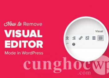Hướng dẫn gỡ bỏ chế độ Visual Editor trong WordPress