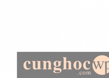 Hướng dẫn tạo sơ đồ tổ chức công ty cho website WordPress