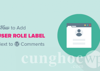 Hướng dẫn thêm User Role Label vào mỗi bình luận trong WordPress