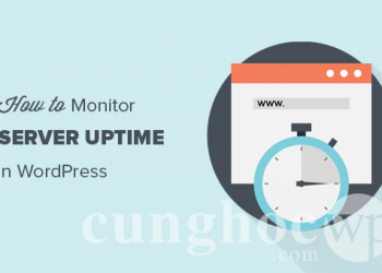 Hướng dẫn theo dõi thời gian hoạt động liên tục của server WordPress dễ dàng nhất