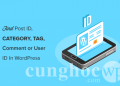 Hướng dẫn tìm ID của Post, Category, Tag, Comments và User trong WordPress