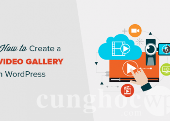 Hướng dẫn từng bước tạo Video Gallery trong WordPress