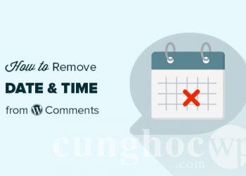 Hướng dẫn bỏ hiển thị ngày giờ ở bình luận trong WordPress