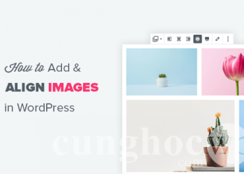 Làm thế nào để căn chỉnh hình ảnh trong WordPress Block Editor (Gutenberg)