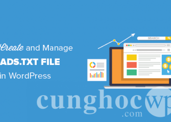 Hướng dẫn tạo và quản lý file Ads.txt trong WordPress