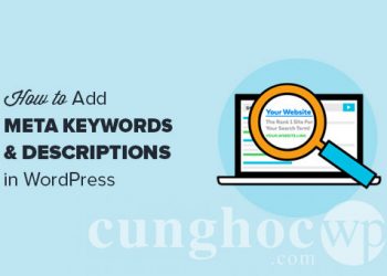 Làm thế nào để thêm từ khóa và mô tả Meta (Meta Descriptions) trên WordPress?