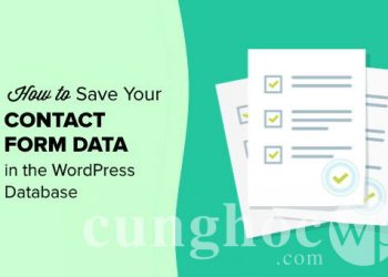Hướng dẫn cách lưu dữ liệu contact form trong cơ sở dữ liệu WordPress