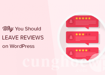 Cách để lại đánh giá trên WordPress