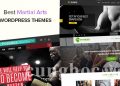 25 mẫu theme WordPress chủ đề về võ thuật tốt nhất