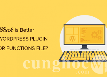 Nên sử dụng plugin hay tự chỉnh sửa code trong Functions.php?
