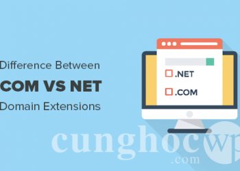 Sự khác nhau giữa 2 tên miền mở rộng (Domain Extensions) Net và Com