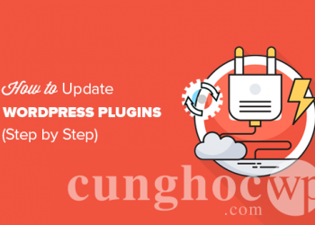 Hướng dẫn cập nhật đúng cách plugin trong WordPress