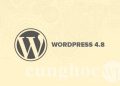 Phiên bản WordPress 4.8 có gì mới?