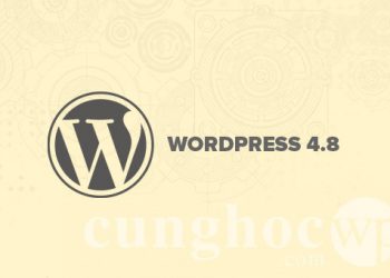Phiên bản WordPress 4.8 có gì mới?