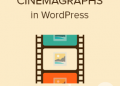 Cách Tạo Và Thêm Cinemagraphs Vào WordPres