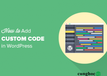 Hướng dẫn thêm tùy chỉnh Code trong WordPress