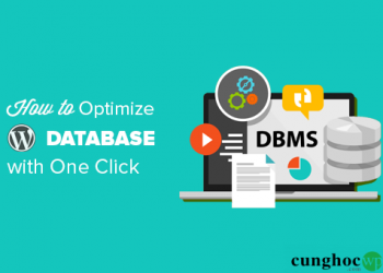 Cách tối ưu hóa cơ sở dữ liệu WordPress chỉ với một cú click