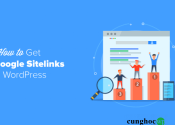Hướng dẫn thêm Google Sitelinks cho trang web WordPress